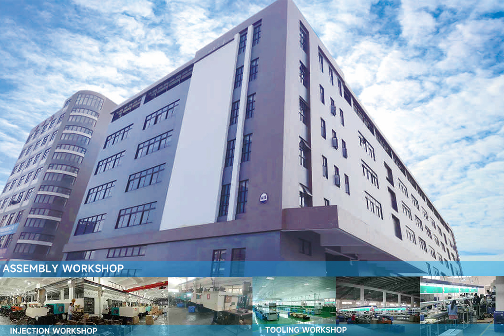 FOCUSEE company and workshops